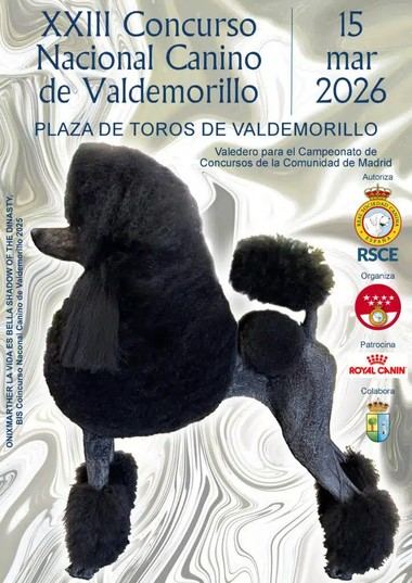 Concurso Canino en Valdemorillo: Un evento para todos los perros